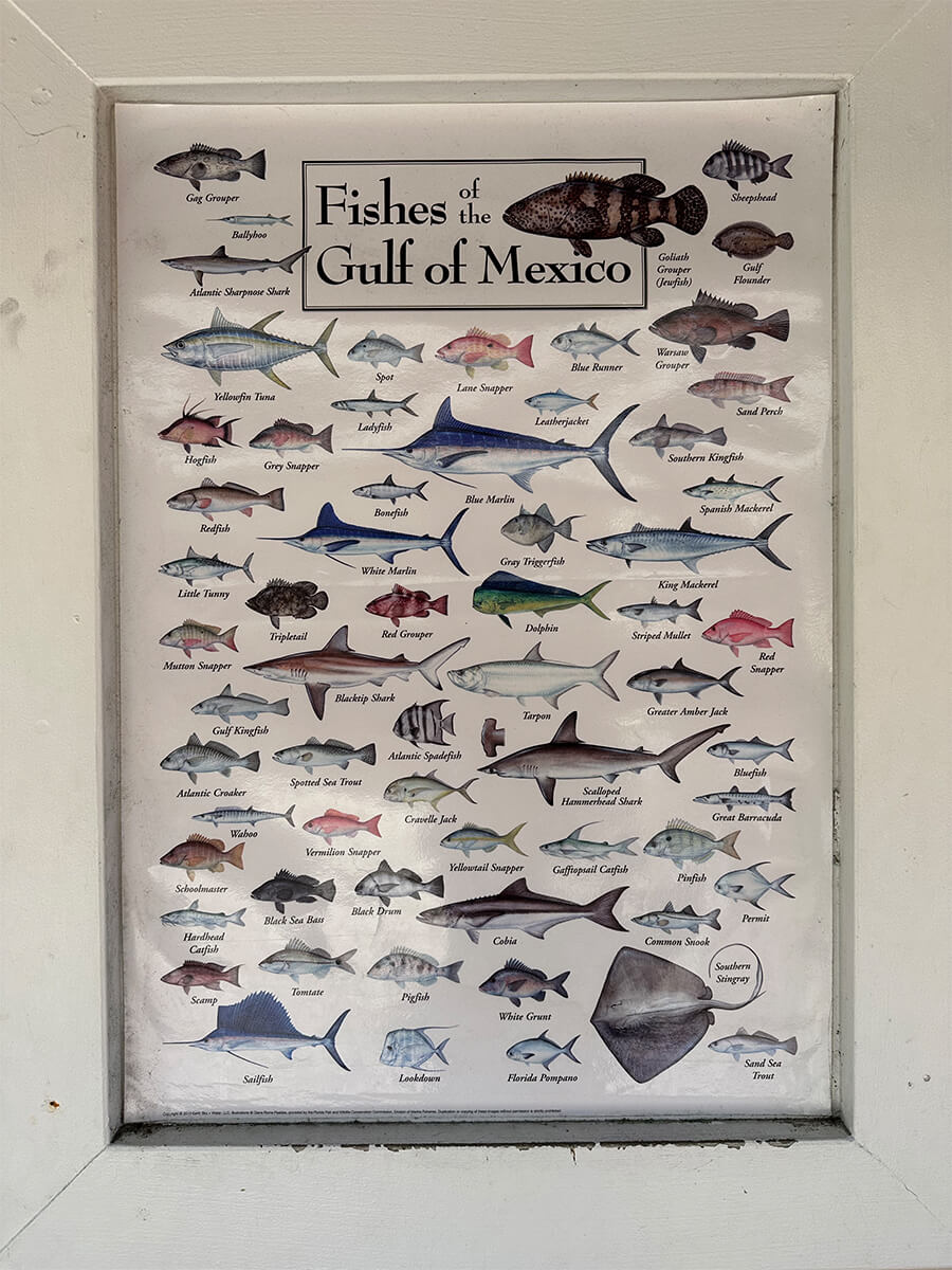 Donna Fiala Eagle Lakes Community Pool gallery image