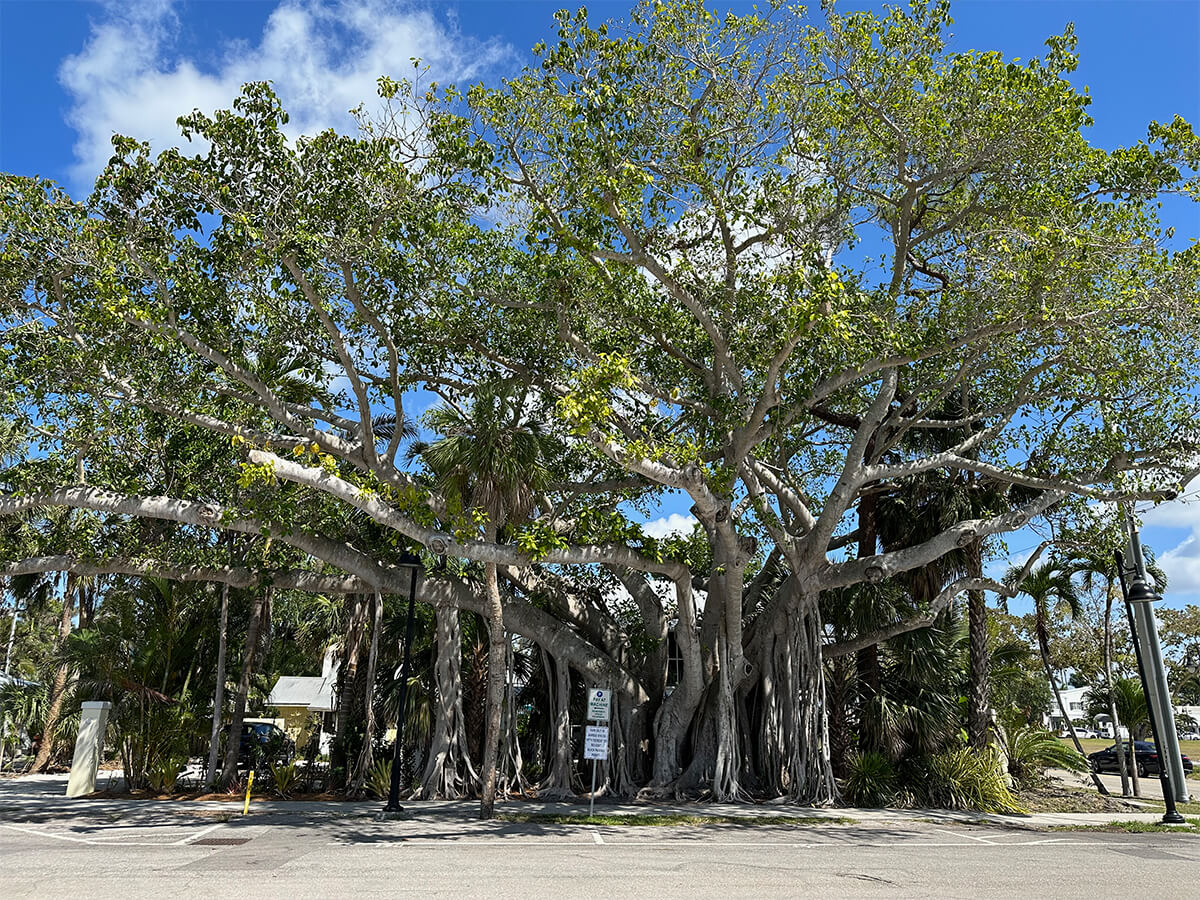 Donna Fiala Eagle Lakes Community Pool gallery image