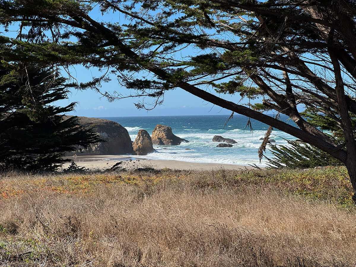 C.V. Starr Aquatic Center gallery image