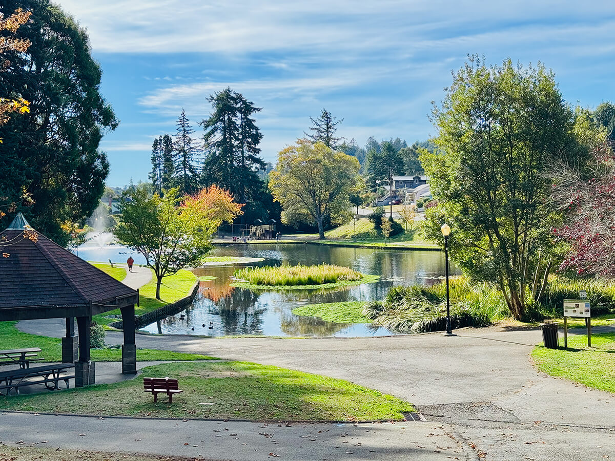 Mingus Park Pool gallery image