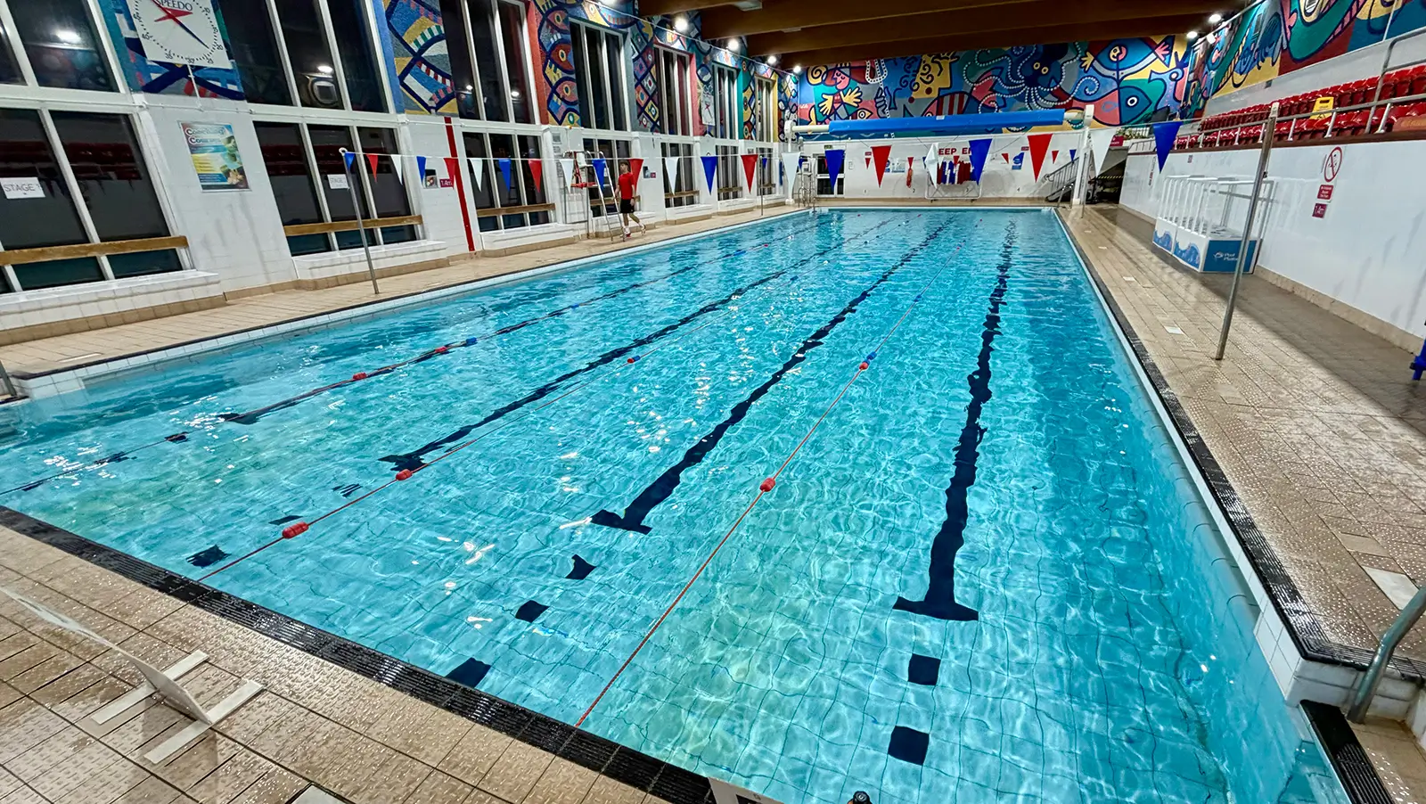 Ross Swimming Pool pool photo