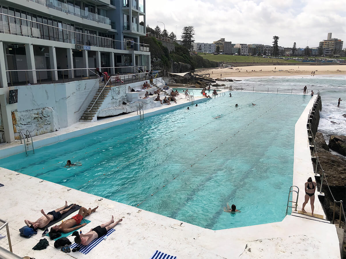 Bondi Beach Icebergs Swimming Club gallery image