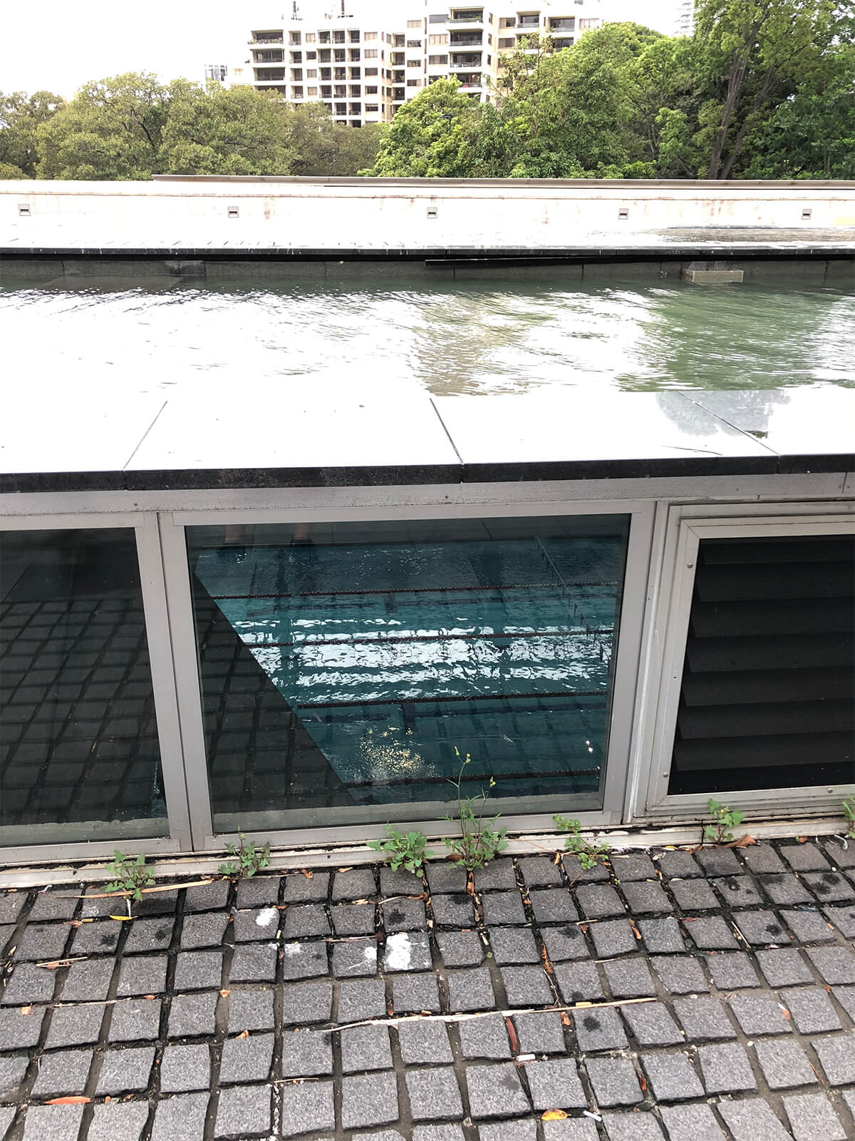 Cook + Phillip Park Pool gallery image