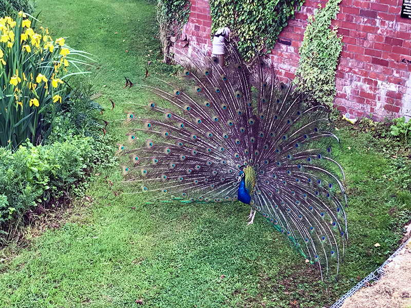 Lion Quays gallery image